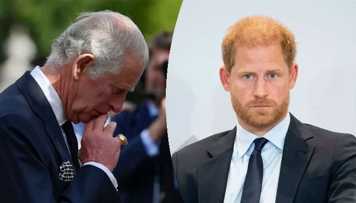 King Charles feels overwhelmed and worried from Prince Harry