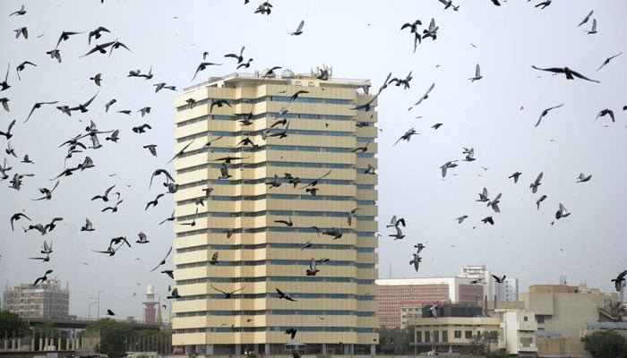 A view of the PNSC Building as a large flock of pigeons and eagles take flight in the intense heat of the city summer in Karachi on May 26, 2025. — APP
