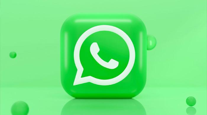 WhatsApp new feature for media download quality