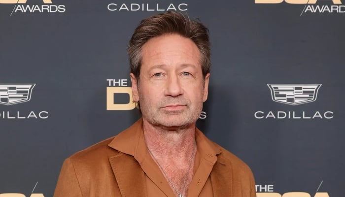 Photo: David Duchovny shares two cent on impact of Netflix on TV