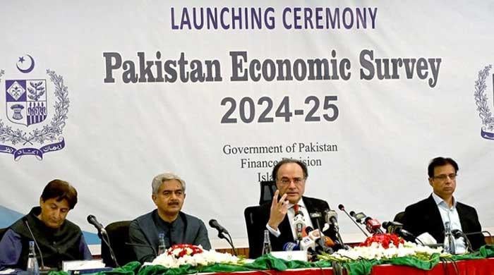 Economic Survey 2024-25: Govt misses growth target amid remittance surge, tame inflation