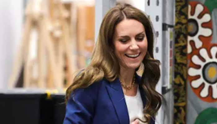 Kate Middleton steps out in London after Prince William pictured with foreign princess