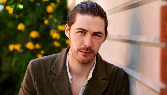 Hozier postpones scheduled concerts due to illness