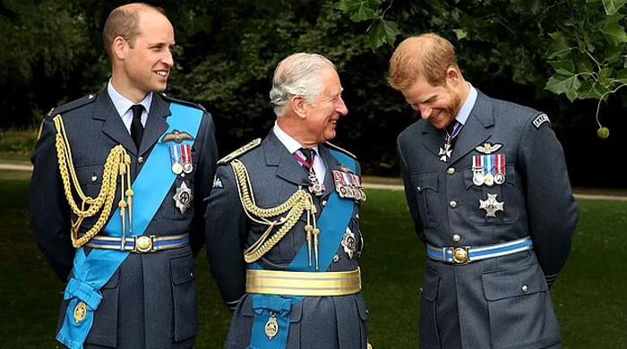 Prince Harry and King Charles