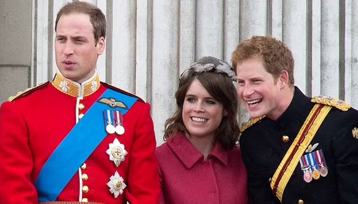 Princess Eugenie, Prince William unite over shared passion amid distance from Harry