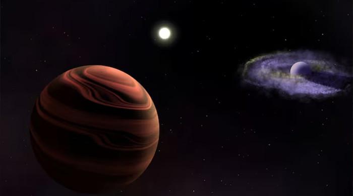 Webb telescope spots infant planets in different stages of development