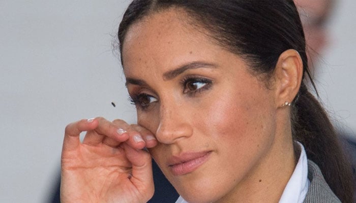 Meghan Markle’s Instagram turns into a parody account?
