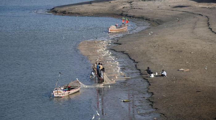 What Pakistan should do next