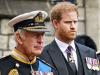Prince Harry's heartfelt interview leaves experts wondering about his future