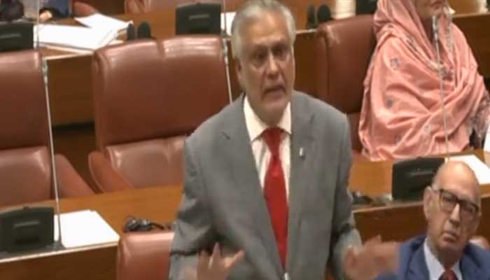 Deputy Prime Minister and Foreign Minister Ishaq Dar speaks on floor of Senate, Islamabad, June 16, 2025. — Screengrab via YouTube/Geo News