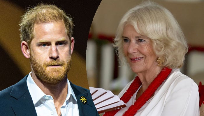 Queen Camilla has chosen where she stands in the King Charles, Prince Harry rift