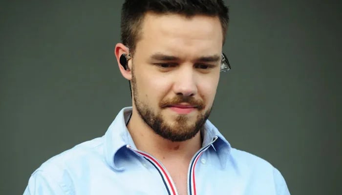Liam Paynes former love reveals what ‘tore them apart