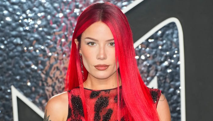 Halsey pauses concert to save videographer