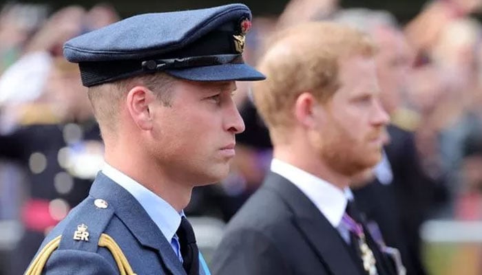 Prince William real feeling over Prince Harry feud laid bare