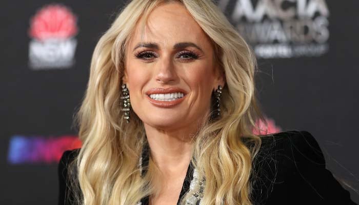 Rebel Wilson underwent plastic surgery after Bride Hard accident