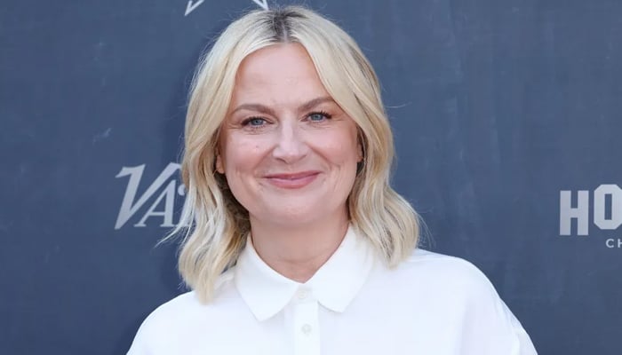 Amy Poehler opens up about ‘inappropriate moments