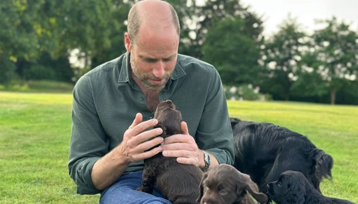 Princess of Wales, kids celebrate Prince Williams birthday