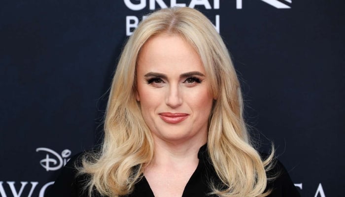 Photo: Rebel Wilson teases new details about Pitch Perfect 4