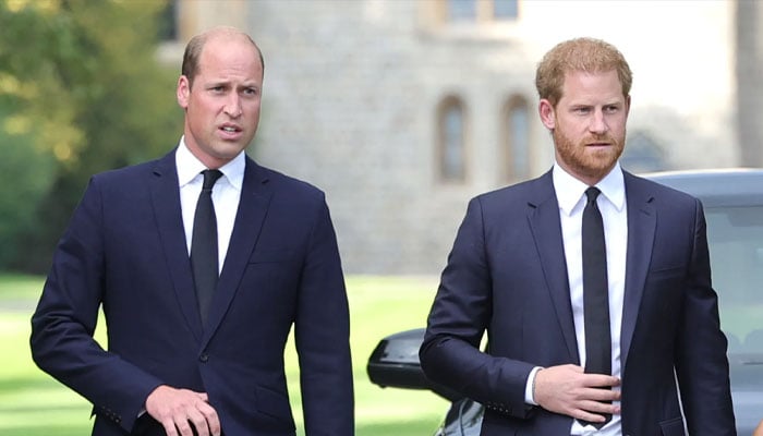 Prince William Kingship to exclude Prince Harrys kids?