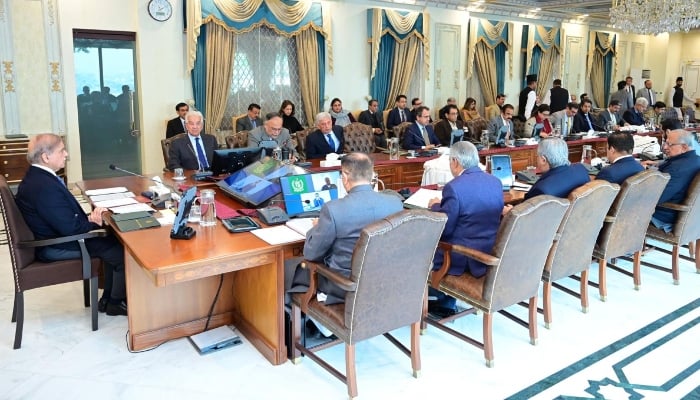 Prime Minister Shehbaz Sharif chairs the federal cabinet meeting in Islamabad on January 14, 2025. — Facebook/@PrimeMinisterOfficePakistan