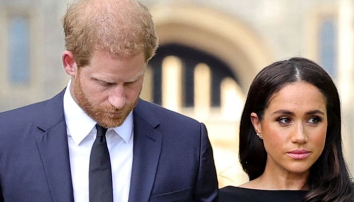 Meghan Markle, Prince Harry are being pushed out by former Sussex MP