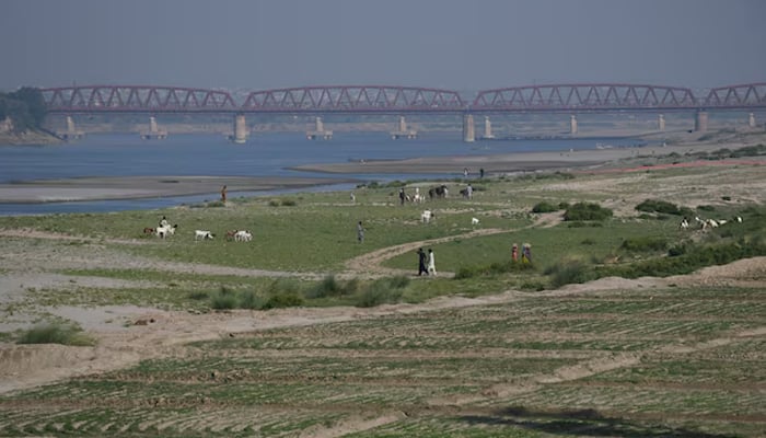 People walk next to a cultivated land on the dry riverbed of the Indus River in Hyderabad, April 25, 2025. — Reuters