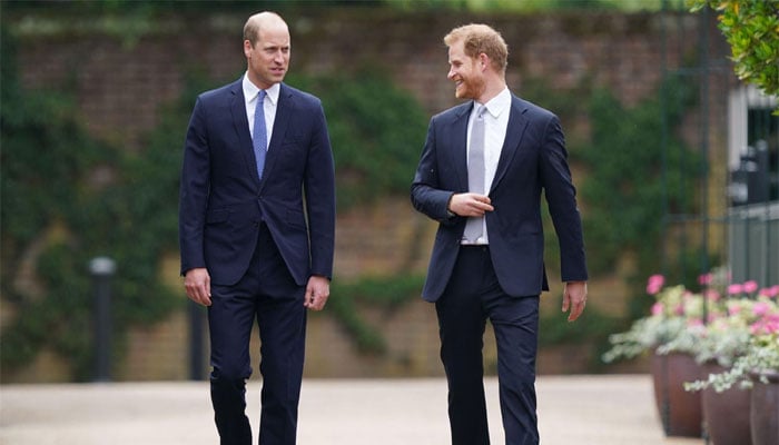 Prince William locked in another royal family cold war amid Harrys new plans