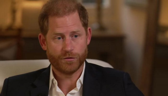 Prince Harry’s bid for Archie and Lilibet to be working royals lands in the rubbish