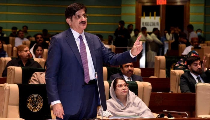 Sindh Chief Minister-elect Syed Murad Ali Shah speaks during the provincial assemblys session on February 27, 2024. — Facebook/Syed Murad Ali Shah