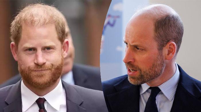 Prince William and Prince Harry