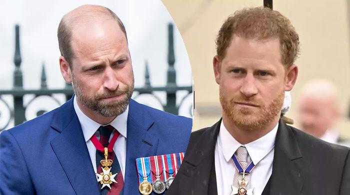 Prince William and Prince Harry