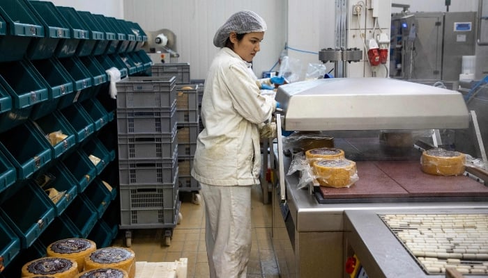 An employee works on packing cheese at the production facilities in Gligora Cheese factory in the town of Kolan at the island of Pag, Croatia, on June 11, 2025. — AFP