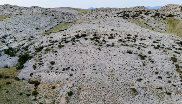 This aerial view shows pastures where sheep graze grass at Paska Sirana cheese factory livestock department, outside the town of Pag on the island of Pag, Croatia, on June 11, 2025. — AFP