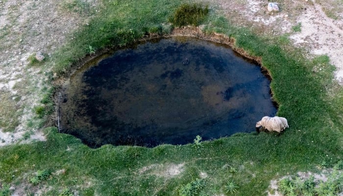 This aerial view shows sheeps drinking water from a small lake at Paska Sirana cheese factory livestock department, outside the town of Pag on the island of Pag, Croatia, on June 11, 2025. — AFP