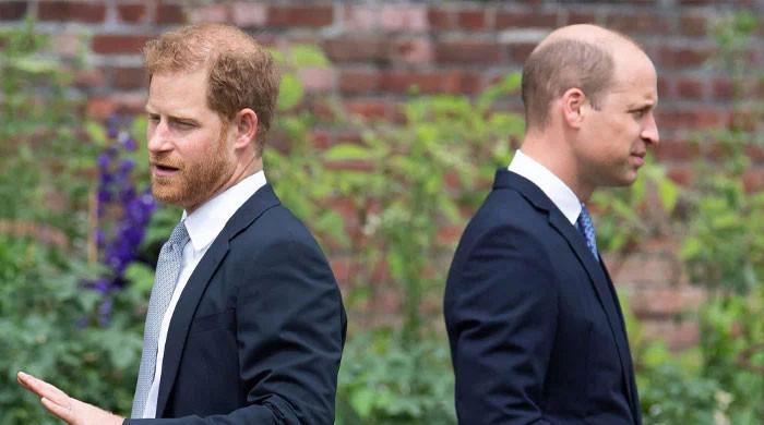 Prince William and Prince Harry