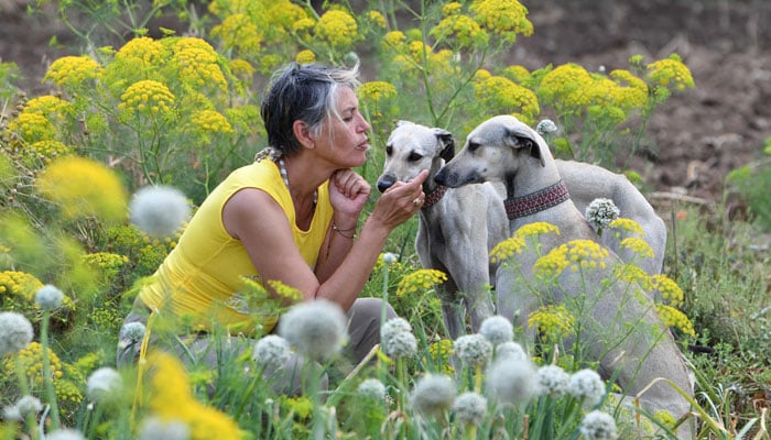 Veterenarian Olfa Abd poses for a picture with her Tunisian Sloughi hunting dogs on a field in Cap Angela, in the Bizerte region on May 22, 2025. — AFP