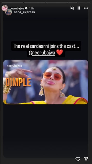 Screenshot of Neerus Instagram story.