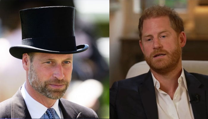 Prince Harry has been called on to reconsider what he still can do to make amends