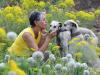 Dying breed: Tunisian dog lovers push to save age-old desert hound