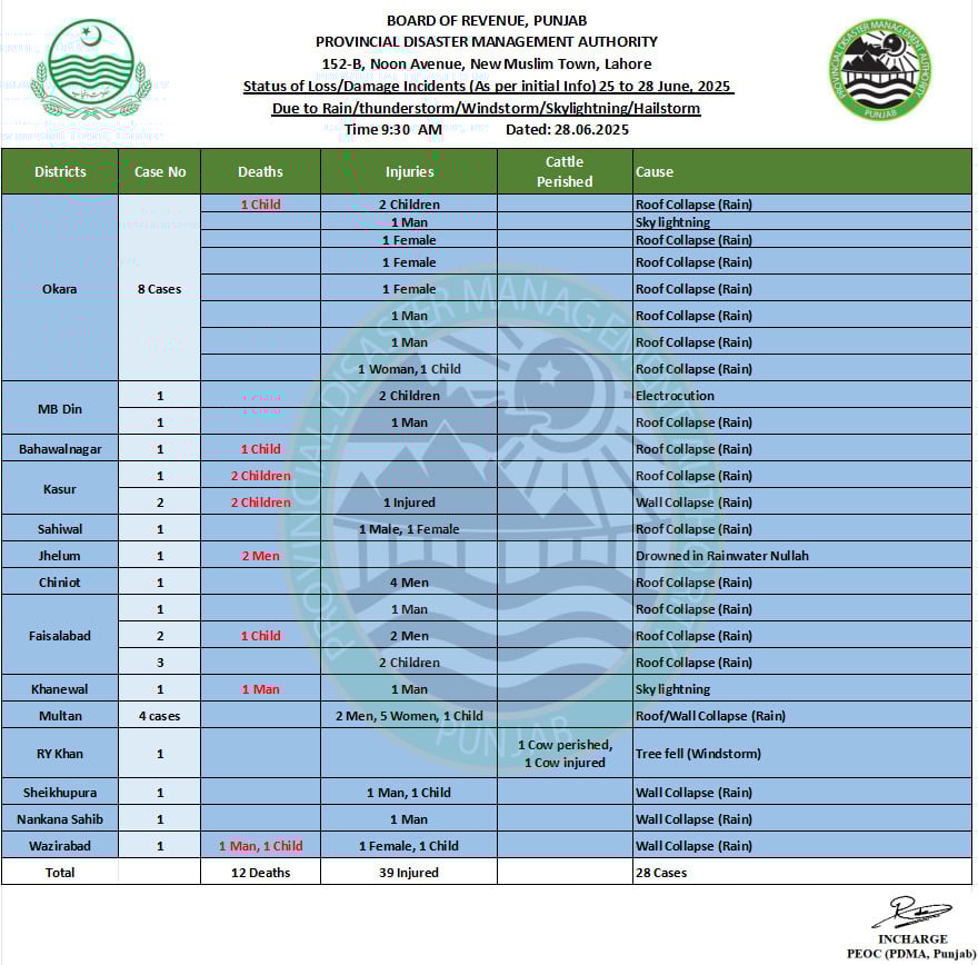 Stats shared by Punjab PDMA. — Geo.tv
