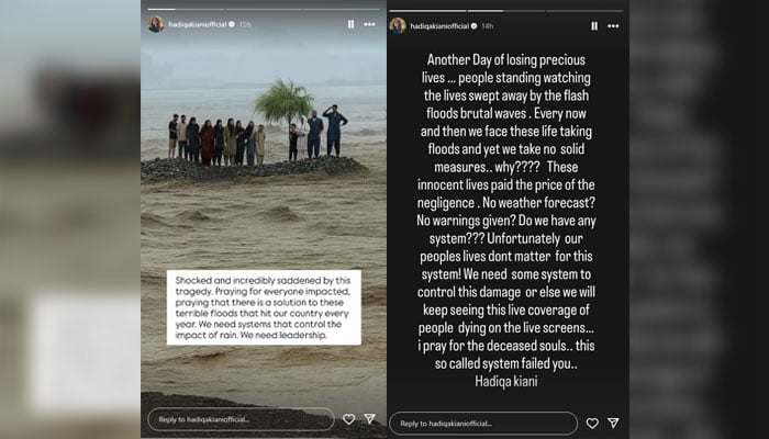 Celebrities express shock, sorrow over Swat River tragedy, demand accountability