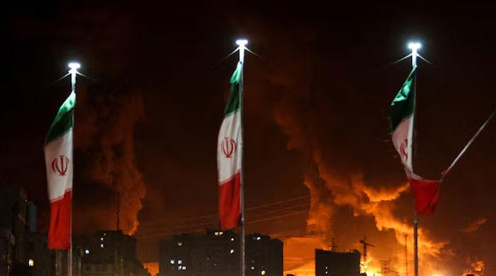 The strutting emperors: Candid corner