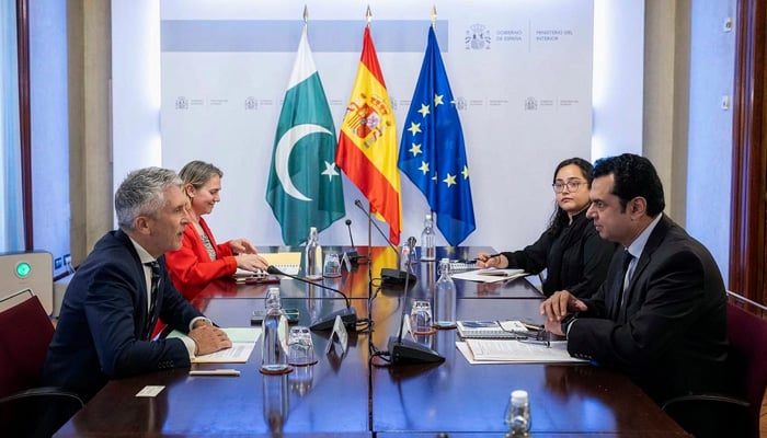 Minister of State for Interior Talal Chaudhry (right) holding a meeting with Spanish counterpart Fernando Grande-Marlaska. — PTV News/File
