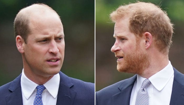 Prince William has big plans excluding Prince Harry