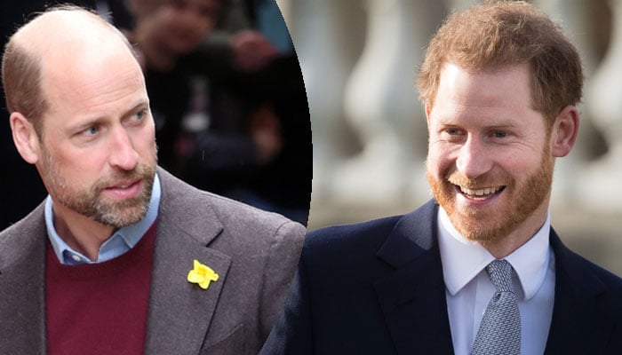 Prince William is ‘taking notes’ from Prince Harry?