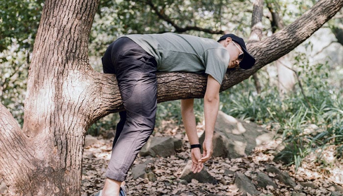 This representational image shows a man lying on the branch of a tree. — Unsplash