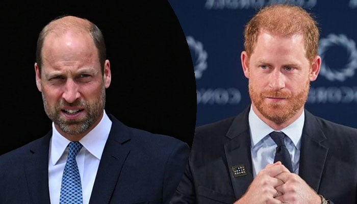 Prince William exposes Prince Harry’s resentment against him