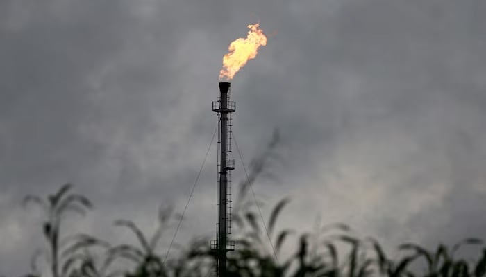 A vertical gas flaring furnace is seen in Ughelli, Delta State, Nigeria, September 16, 2020. —Reuters