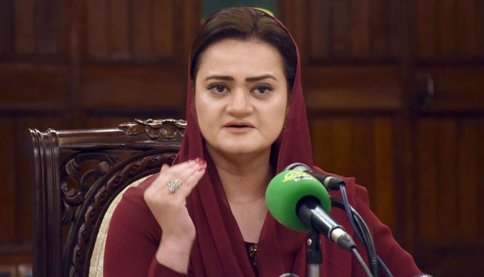 Senior Minister Marriyum Aurangzeb addressing a press conference in Lahore on August 18, 2024. ← Online