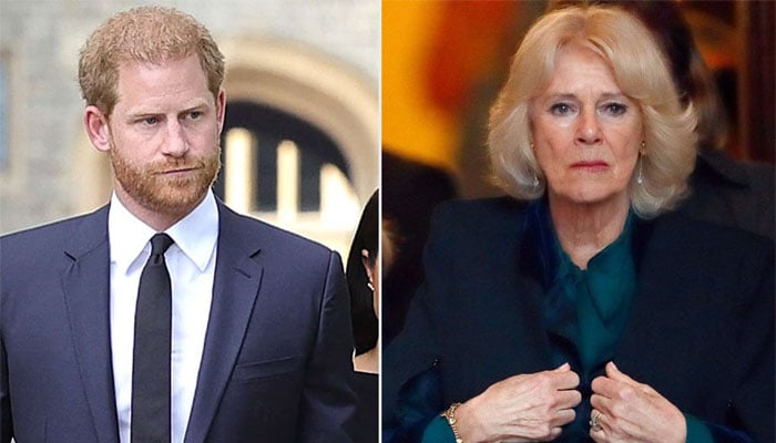 Queen Camilla will always win over Prince Harry